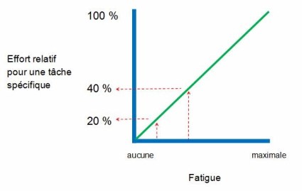 effet de la fatigue sur effort relatif